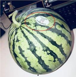 网红吃瓜实时,揭秘娱乐圈最新热点事件