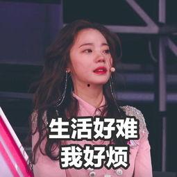 深夜吃瓜今日,揭秘娱乐圈最新热点事件