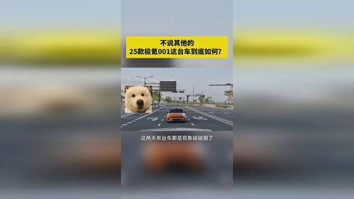 最新吃瓜2025,吃瓜群众盘点年度热辣话题