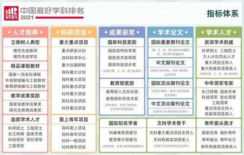 图片爆料排行,热门话题背后的视觉焦点